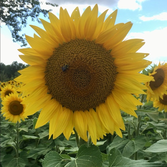 Meet your Posher, Katrin - Picture 13 of 16